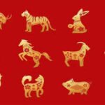 Daily Horoscope, August 11, 2026: Three Chinese Zodiac Signs May Get Lucky; Three Should Think Before Acting