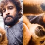 Actor’s connection explained as Forest Department investigation traces monkey to Erode resident