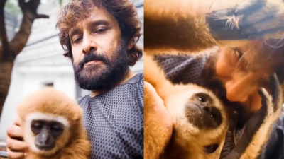 Actor’s connection explained as Forest Department investigation traces monkey to Erode resident