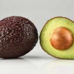 Scientists found genetically unusual avocados in Nicaragua that may preserve clues to a 5,000-year-old human journey from South America  |