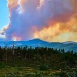 Wildfires burned 42,000 hectares and forced 220,000 evacuations near Bordeaux; now France’s wine country fears damage that may only emerge in the bottle