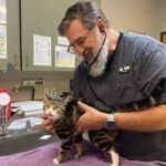 In 2023, an Oregon veterinarian left a 0,000 job to ‘soft retire’; three years later, relief work pays about twice as much