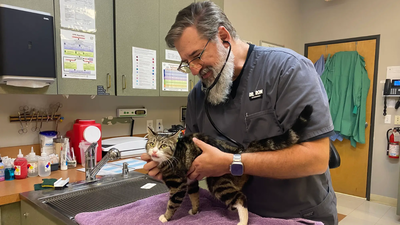 In 2023, an Oregon veterinarian left a 0,000 job to ‘soft retire’; three years later, relief work pays about twice as much