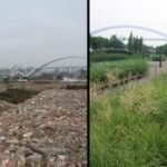 In 2010, Shanghai turned a polluted industrial brownfield into Houtan Park; its wetlands now clean up to 634,000 gallons of river water a day