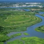 In the 1990s, New York chose wetlands over conventional storm sewers on Staten Island; the Bluebelt strategy saved taxpayers  million in infrastructure costs