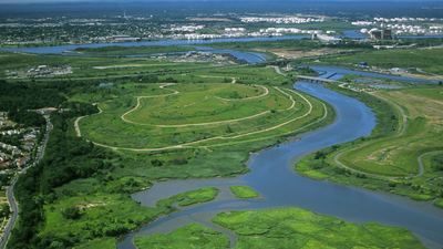 In the 1990s, New York chose wetlands over conventional storm sewers on Staten Island; the Bluebelt strategy saved taxpayers  million in infrastructure costs