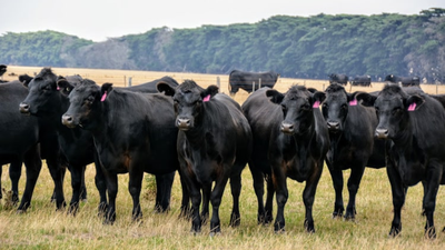 One-third of global farmland accounts for about two-thirds of agriculture-linked biodiversity and natural carbon-storage loss, a new study finds