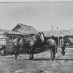 In 1870, a former slave and Union soldier staked a homestead in Nebraska; drought and grasshoppers cost him the claim, but he eventually owned more than 2,000 acres