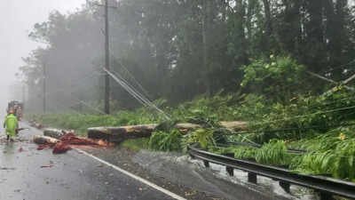 Tropical Storm Lala moves away from Hawaii, leaves trail of damage and lakhs without power