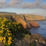 The US offered a California family  million for its 6,300-acre island ranch; after they refused, the government seized it and a jury awarded them .7 million