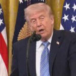 How a ‘firm’ shared, retracted fake poll numbers in US