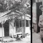 A New Zealand sailor spent years living alone on a remote Cook Islands atoll across three separate stays; a year after his final stay ended, Suwarrow was declared a national park