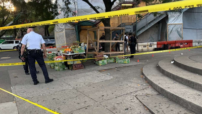 New York Shooting: Video: 2 injured after gunman opens fire near New York subway station | World News