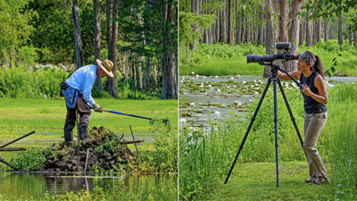 A Florida couple bought a 45-acre swamp to protect it from development; 15 years later, 275 wood storks were nesting there in a thriving ecosystem filled with wildlife