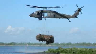 New Orleans: New Orleans collected 9,000 discarded Christmas trees and airlifted them into coastal wetlands; the programme has restored marsh equal to nearly 200 football fields