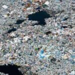 A rotating ‘garbage island’ spreads over 1.6 million sq km in the Pacific: Plastic averages 50 kilograms per square kilometre, and 75 to 86% of the debris comes from fishing gear