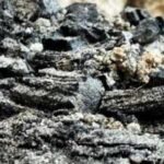 A wooden relic that survived the sack of Jerusalem’s First Temple was unearthed by archaeologists, now they are finding shocking answers