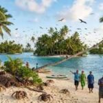 After years of invasive rats threatening island wildlife, Tuvalu removed them from six islets; residents are now seeing birds and coconut crabs return﻿ |