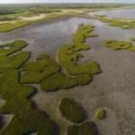 In 2014, a Texas coalition bought a 17,351-acre coastal ranch for .7 million, much of it using Deepwater Horizon restoration money; 15,000 acres later became a wildlife area protecting wetlands, prairie and endangered whooping crane habitat