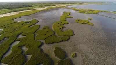 In 2014, a Texas coalition bought a 17,351-acre coastal ranch for .7 million, much of it using Deepwater Horizon restoration money; 15,000 acres later became a wildlife area protecting wetlands, prairie and endangered whooping crane habitat