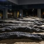 Ancient Egyptians mummified thousands of crocodiles at Kom Ombo. Modern DNA has finally revealed where the sacred reptiles came from | World News