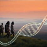Scientists found traces of two unknown ancient human lineages hiding in modern DNA; one split from our ancestors about 800,000 years ago, another around 1.8 million years ago |