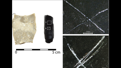 archaeologists found 9,000-year-old arrowheads covered in strange markings; their purpose remains a mystery | World News
