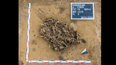 Archaeologists found a 7,000-year-old pit packed with beaver bones; it reveals how Europe’s first farmers used animal fur | World News