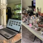 At 14, Sheri Lynch received a small grey hippo as a birthday gift. 40 years later, her collection had grown into a world-record collection of 1,086 items | World News