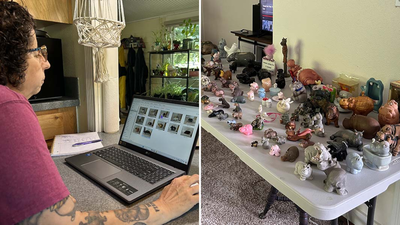 At 14, Sheri Lynch received a small grey hippo as a birthday gift. 40 years later, her collection had grown into a world-record collection of 1,086 items | World News