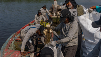 Brazil’s polluted Rio mangroves were disappearing under waste; then local fishers restored 18.2 hectares and more than 60 animal species returned | World News
