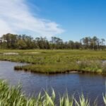In 2015, a storm flooded and destroyed a Virginia wildlife refuge beach parking lot; now officials are moving it 2.5 miles north so dunes and saltmarsh can reclaim the old site