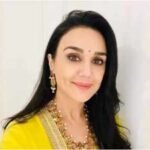 Preity Zinta on how being a mother shaped her role in ‘Batwara 1947’: ‘When I run out of diapers, I freak out.,so what were the mothers doing at that point?’ |