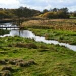 Skjern: In 2001, Denmark began turning 19 km of straightened River Skjern into 26 km of bends; researchers later found some lost habitats may take centuries to return