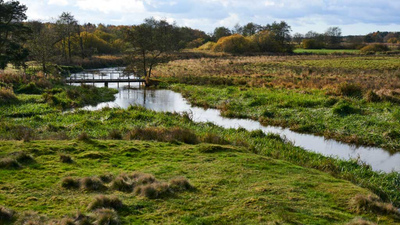 Skjern: In 2001, Denmark began turning 19 km of straightened River Skjern into 26 km of bends; researchers later found some lost habitats may take centuries to return