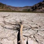 COP17: New global architecture for drought resilience launched at UNCCD meet | India News