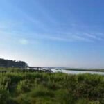 In 2012, conservationists began working to remove an obsolete Massachusetts dam; 14 years later, demolition started to reconnect 7 miles of stream and restore 6 acres of wetland