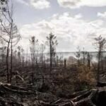European wildfires expose hidden threat of buried WWI, WWII bombs and mines
