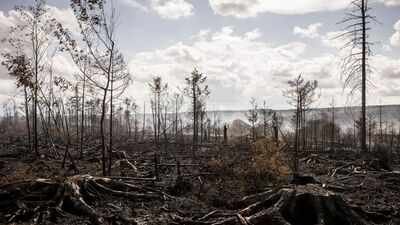 European wildfires expose hidden threat of buried WWI, WWII bombs and mines