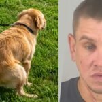 Florida man arrested after throwing dog poop at neighbour over uncleared mess and threatening him with a child’s scooter | World News