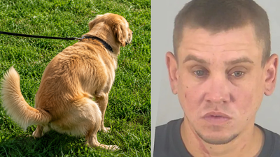 Florida man arrested after throwing dog poop at neighbour over uncleared mess and threatening him with a child’s scooter | World News