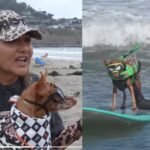 ​From cancer survivors to surfing stars: California woman and her dog beat cancer before competing together at the World Dog Surfing Championships | World News