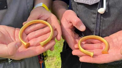 A British metal detectorist thought he’d found a bull’s nose ring; it was actually a Bronze Age gold bracelet, and then two more appeared | World News