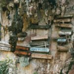 For centuries, China’s hanging coffins had no known builders. Ancient DNA now points to the Bo people | World News