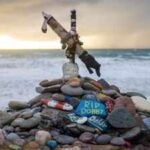 Harry Potter fans forced a 0 million power cable between UK and Ireland to be relocated since it would desecrate the ‘grave’ of Dobby, the elf