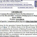 IBPS RRB CRP-XV Clerk 2026 registration begins September 1; check official notification PDF, dates and eligibility