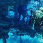 In 1970, Sylvia Earle led five women into an underwater lab for 14 days, helping prove humans could live and work beneath the sea | World News