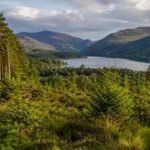 In 1986, Alan Watson Featherstone promised to restore Scotland’s ancient Caledonian Forest, and by 2012 one million native trees had been planted | World News