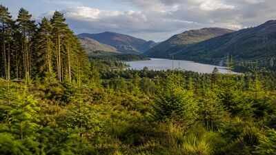 In 1986, Alan Watson Featherstone promised to restore Scotland’s ancient Caledonian Forest, and by 2012 one million native trees had been planted | World News