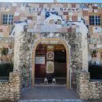 In 1993, a Bahamas artist began covering his home with shells, bottles, coins and tiles; decades later it became a giant dolphin-themed museum | World News